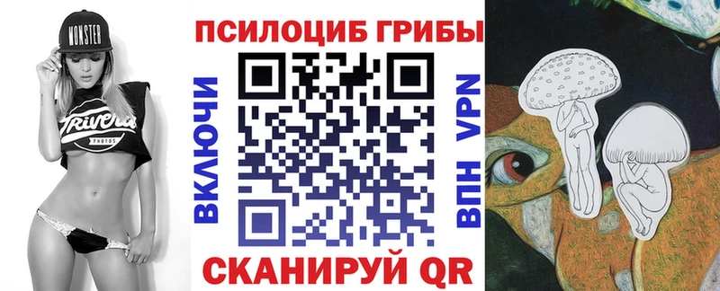 цены наркотик  Севск  Галлюциногенные грибы Psilocybe 